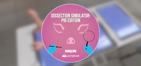 Dissection Simulator: Pig Edition