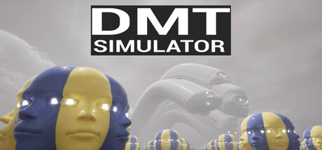 DMT Simulator