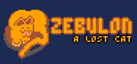 Zebulon: A Lost Cat