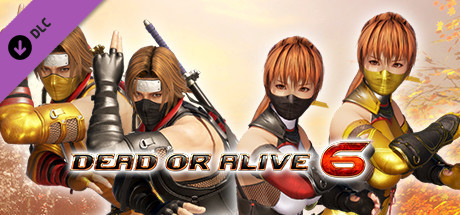 DOA6 Morphing Ninja Costume Set