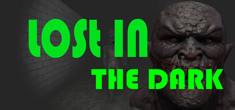 Lost in the Dark