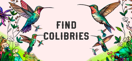 Find Colibries