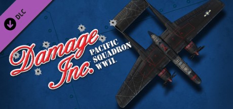 Damage Inc P-61 