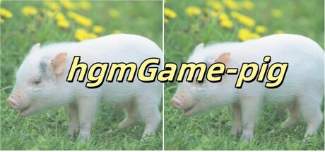 hgmGame-pig