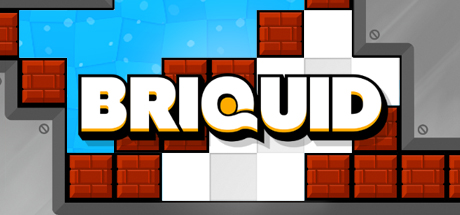 Briquid