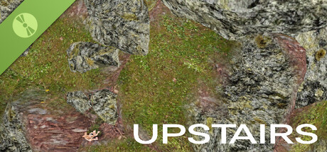 Upstairs Demo