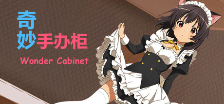 Wonder Cabinet