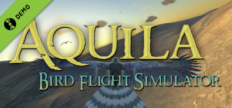 Aquila Bird Flight Simulator Demo