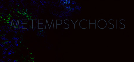 Metempsychosis