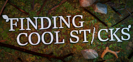 Finding Cool Sticks