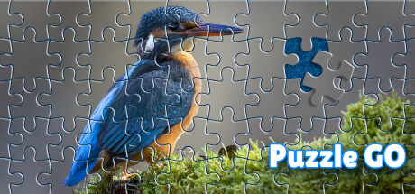 Puzzle Go