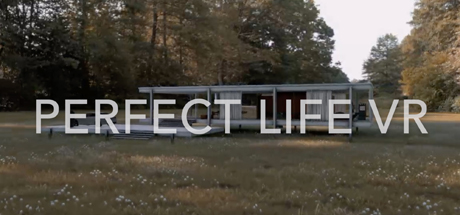 Perfect Life VR