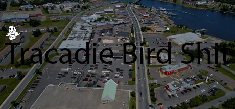 Tracadie Bird Shit