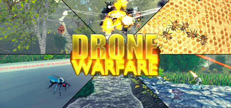 Drone Warfare