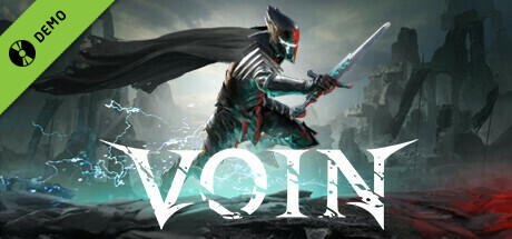 VOIN Demo