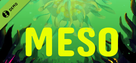 MESO Demo