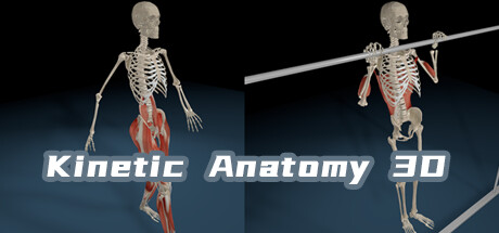 Kinetic Anatomy 3D