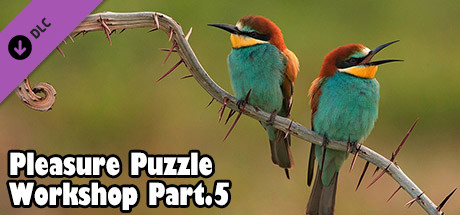 Pleasure Puzzle:Workshop - Part 5