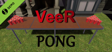 VeeR Pong Demo