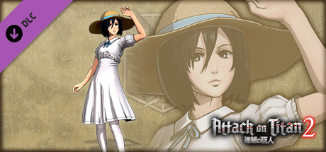 Additional Mikasa Costume: Festival Outfit