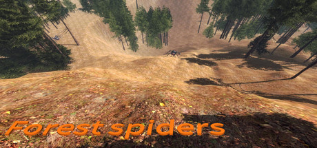 Forest spiders