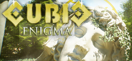 Cubic Enigma