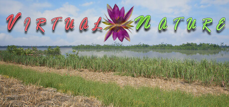 Virtual Nature