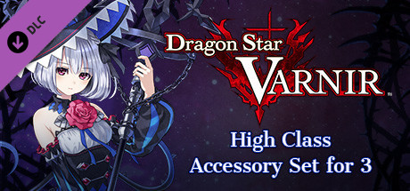 Dragon Star Varnir High Class Accessory Set for 3