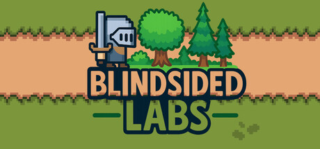 Blindsided Labs