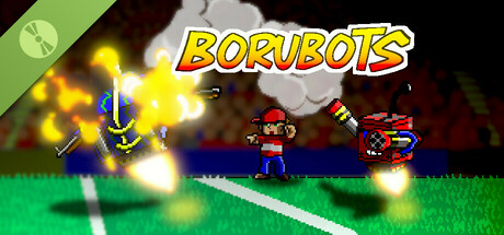 Borubots Demo