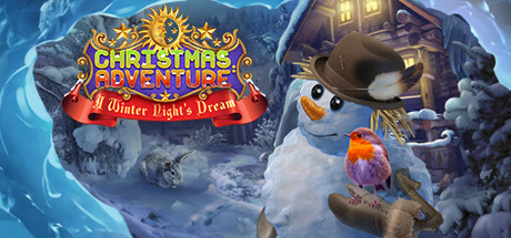 Christmas Adventures: A Winter Night's Dream