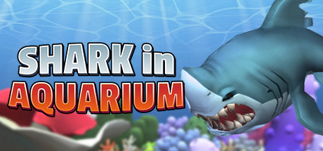 Shark In Aquarium