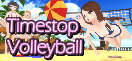 Timestop Volleyball