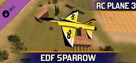RC Plane 3 - EDF Sparrow