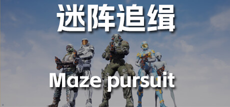 Maze pursuit
