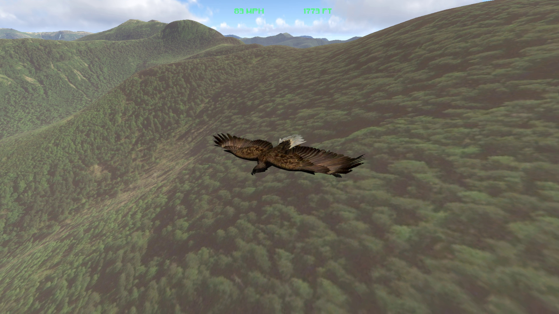 Aquila Bird Flight Simulator Demo