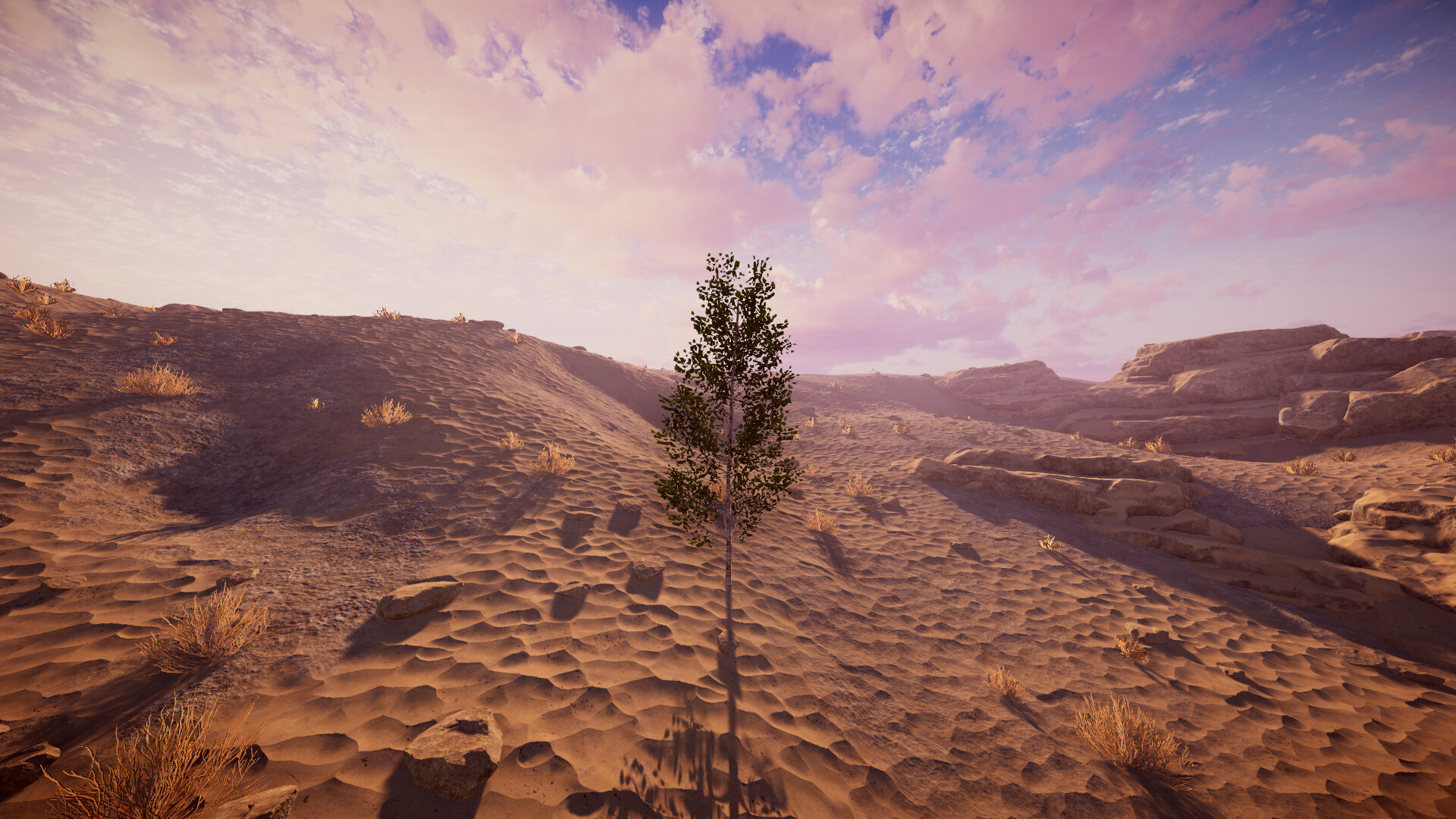 Birch Simulator