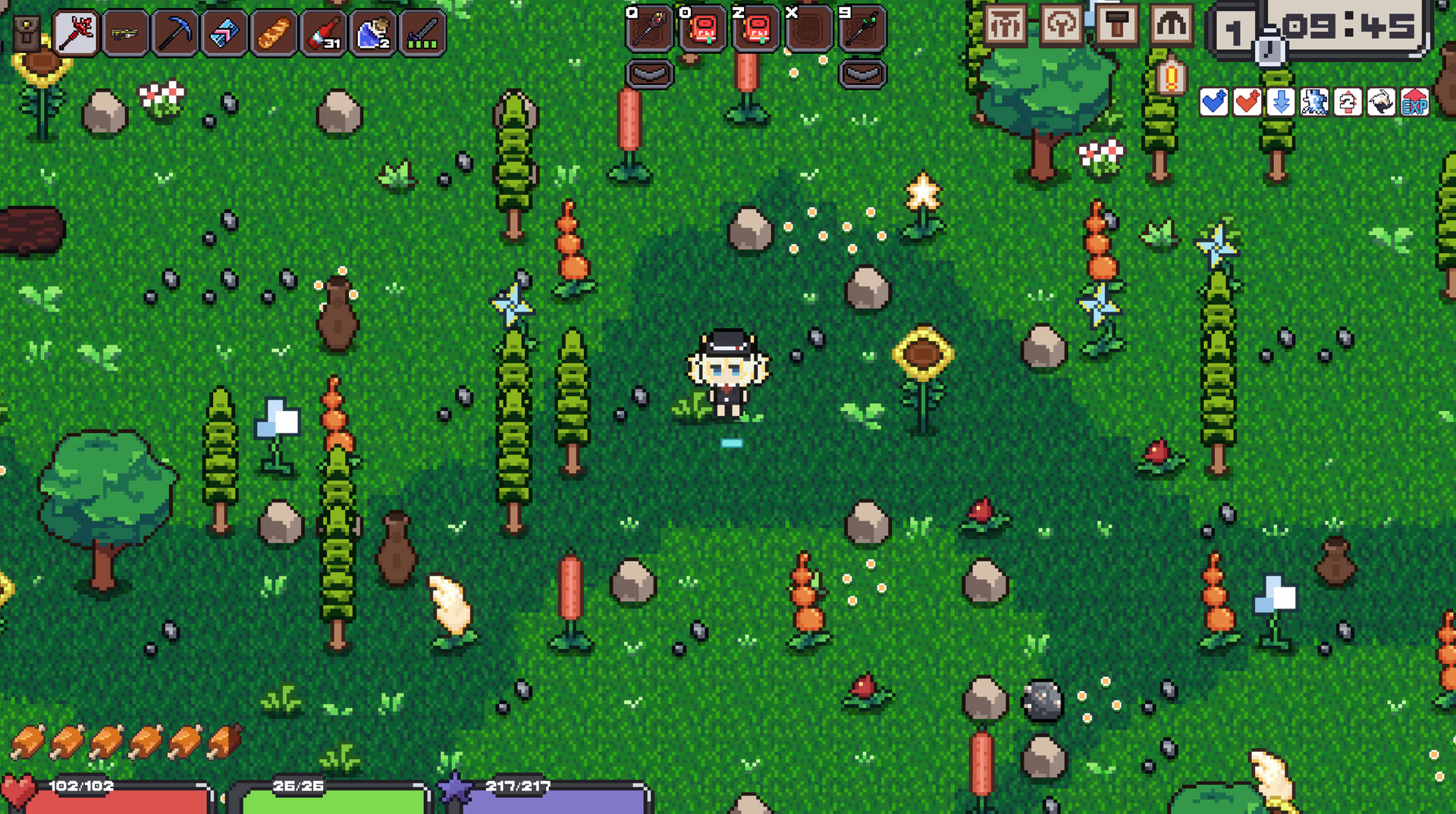 HG Adventure