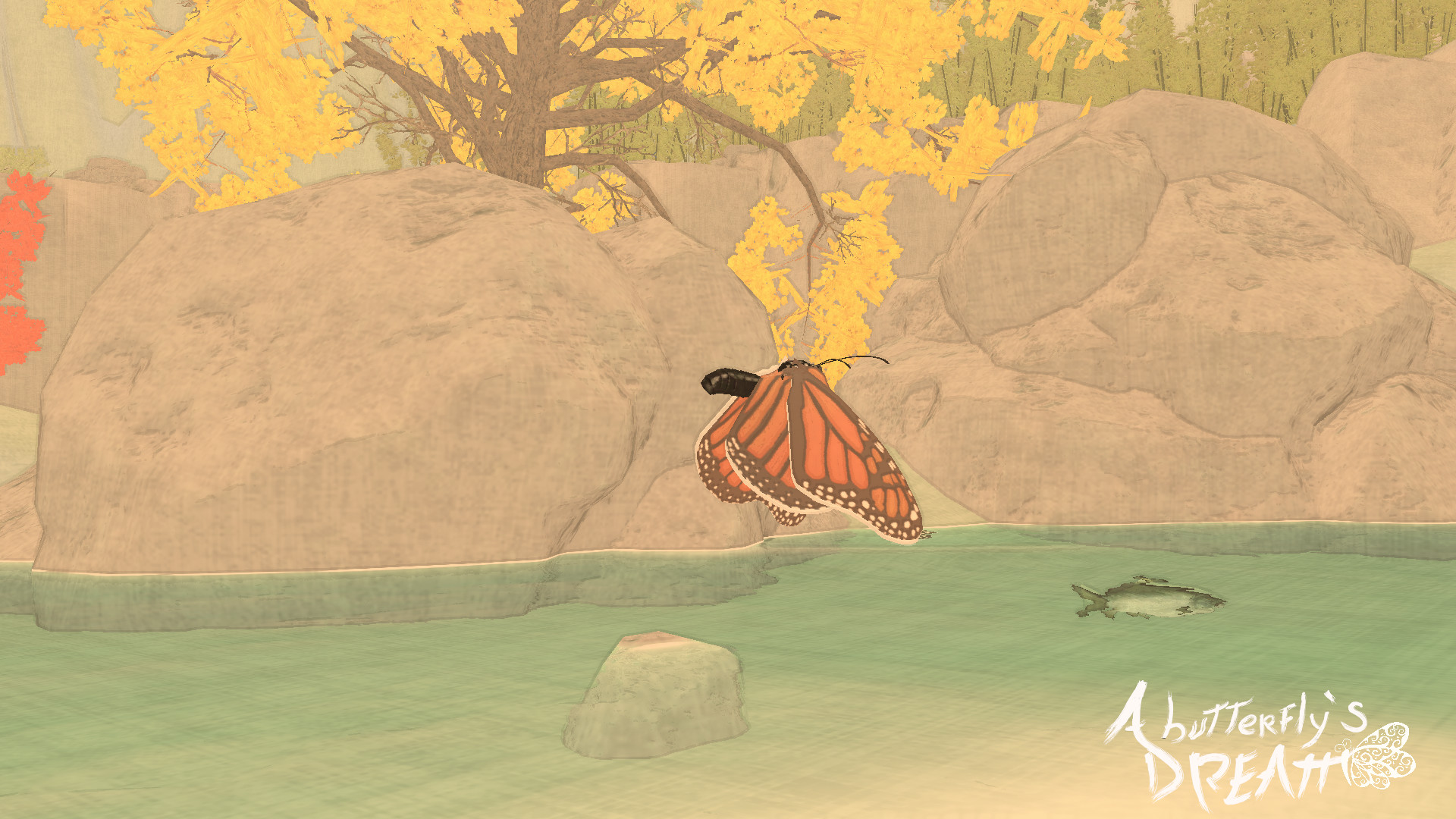 A Butterfly's Dream