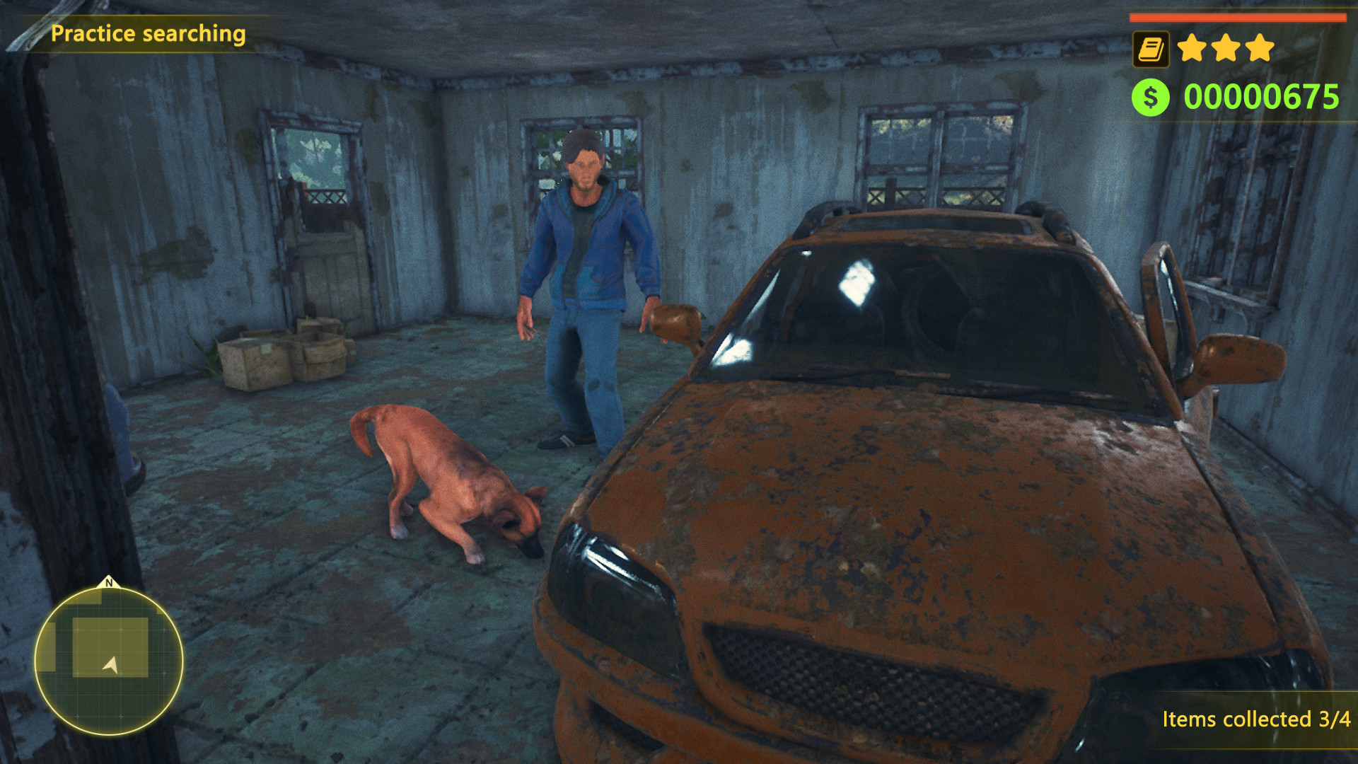 THIEF DOG
