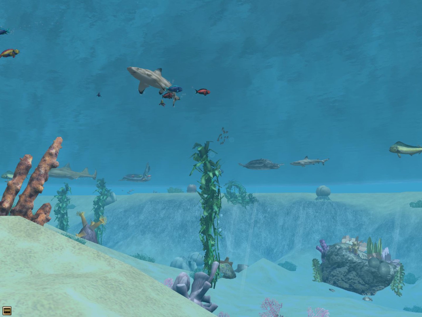Wildlife Park 2 - Marine World