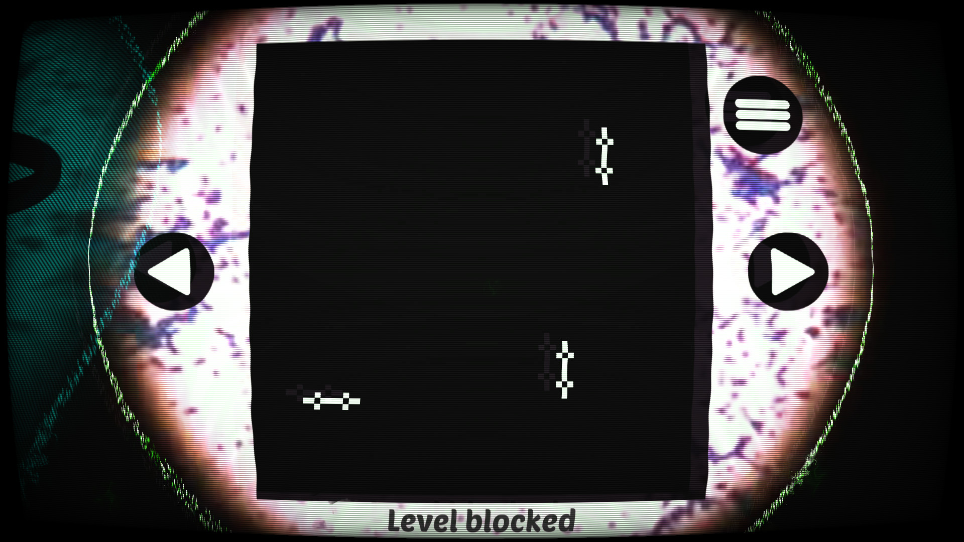 Bacteria