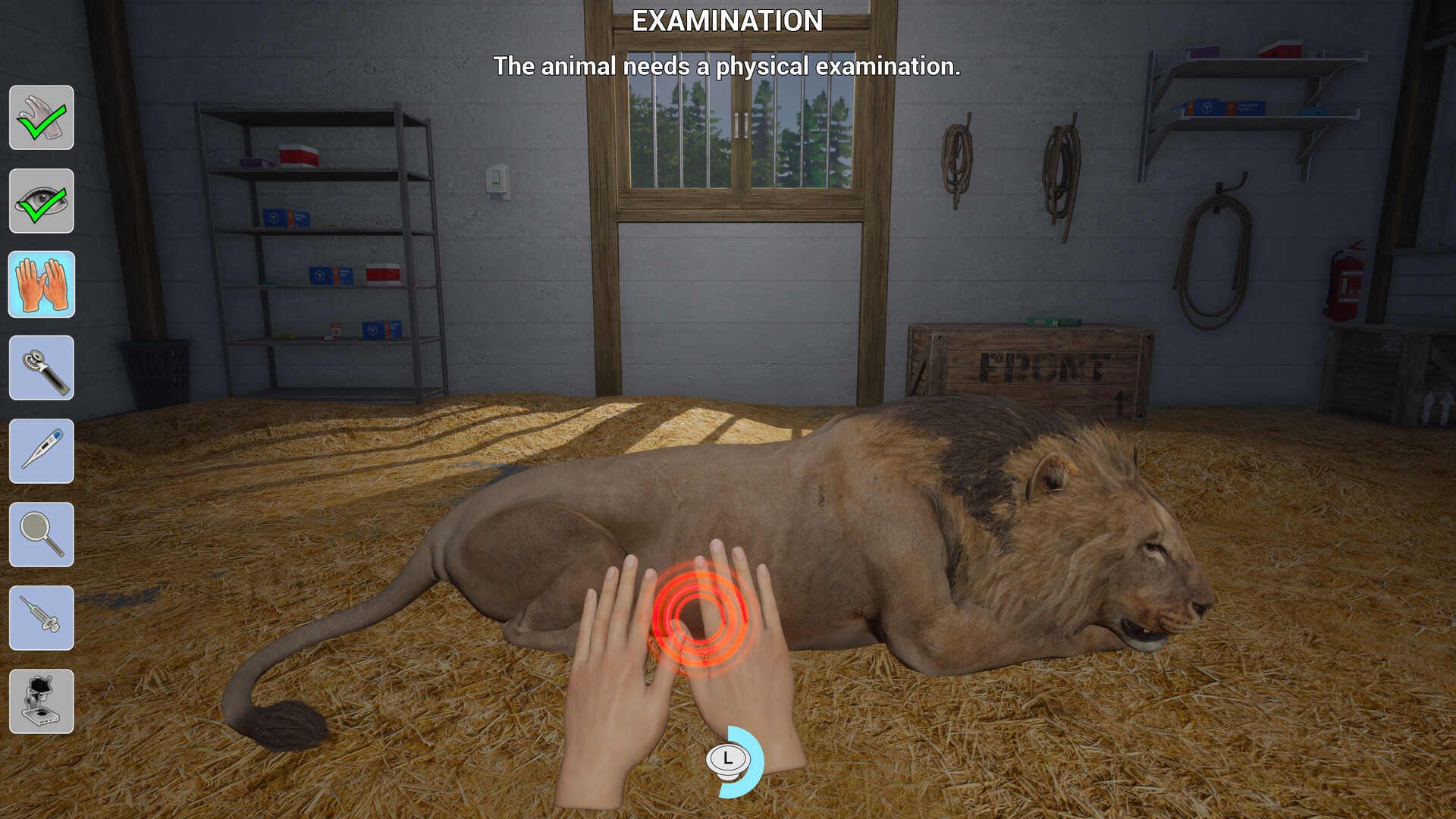 My Life: Zoo Vet