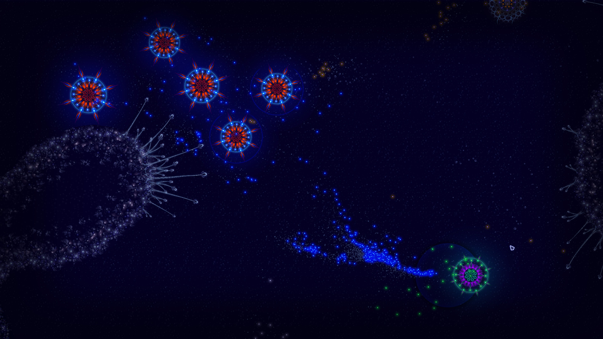 Microcosmum: survival of cells Demo