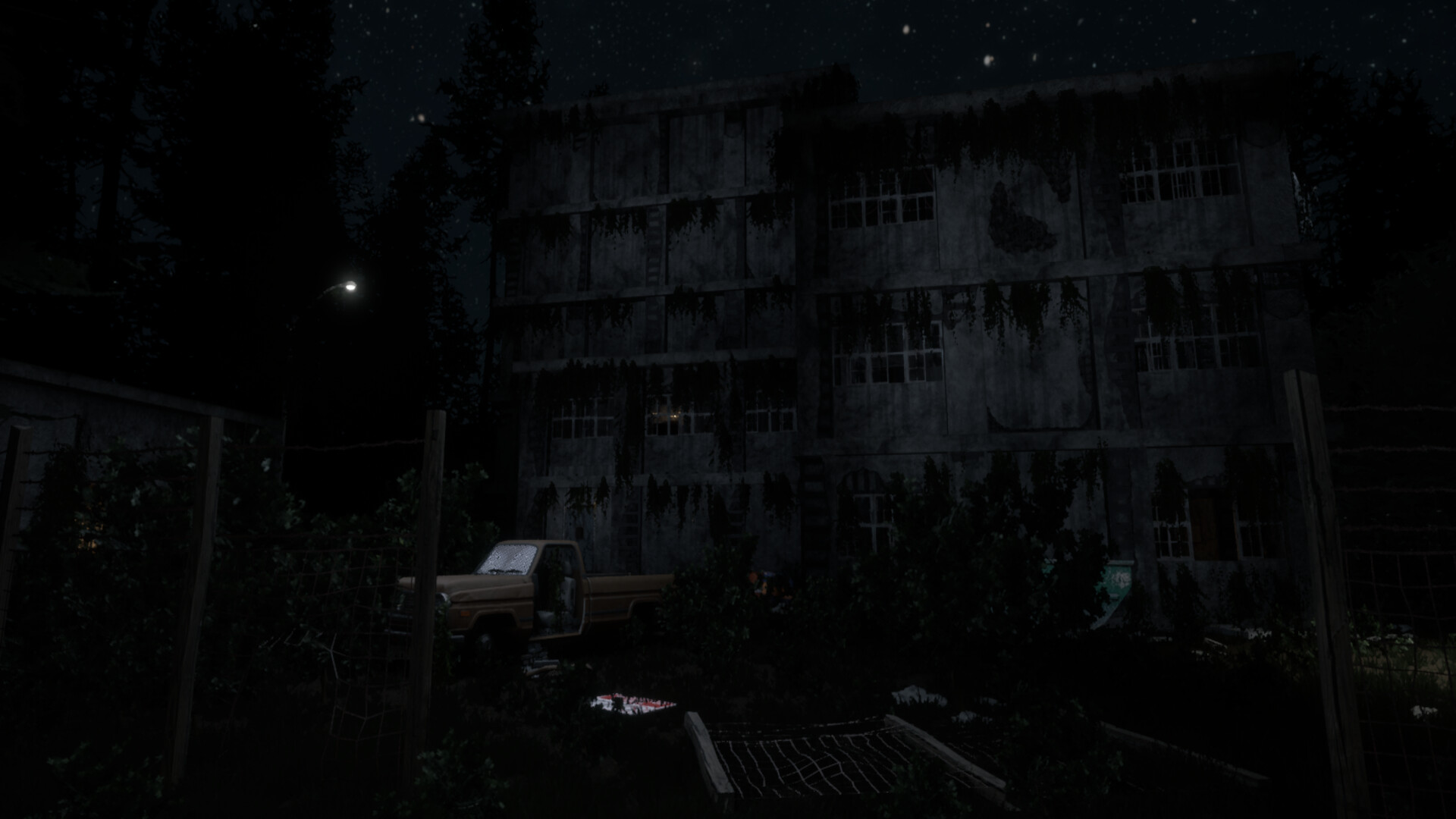 Darkness in the Forest