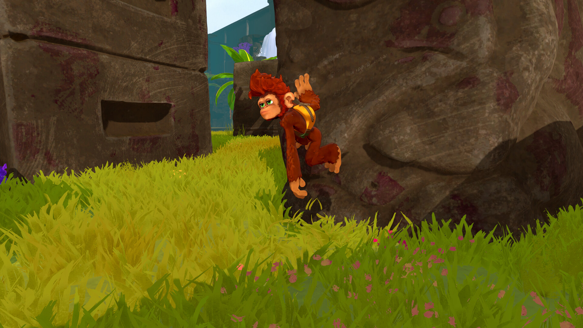 Monkey Do