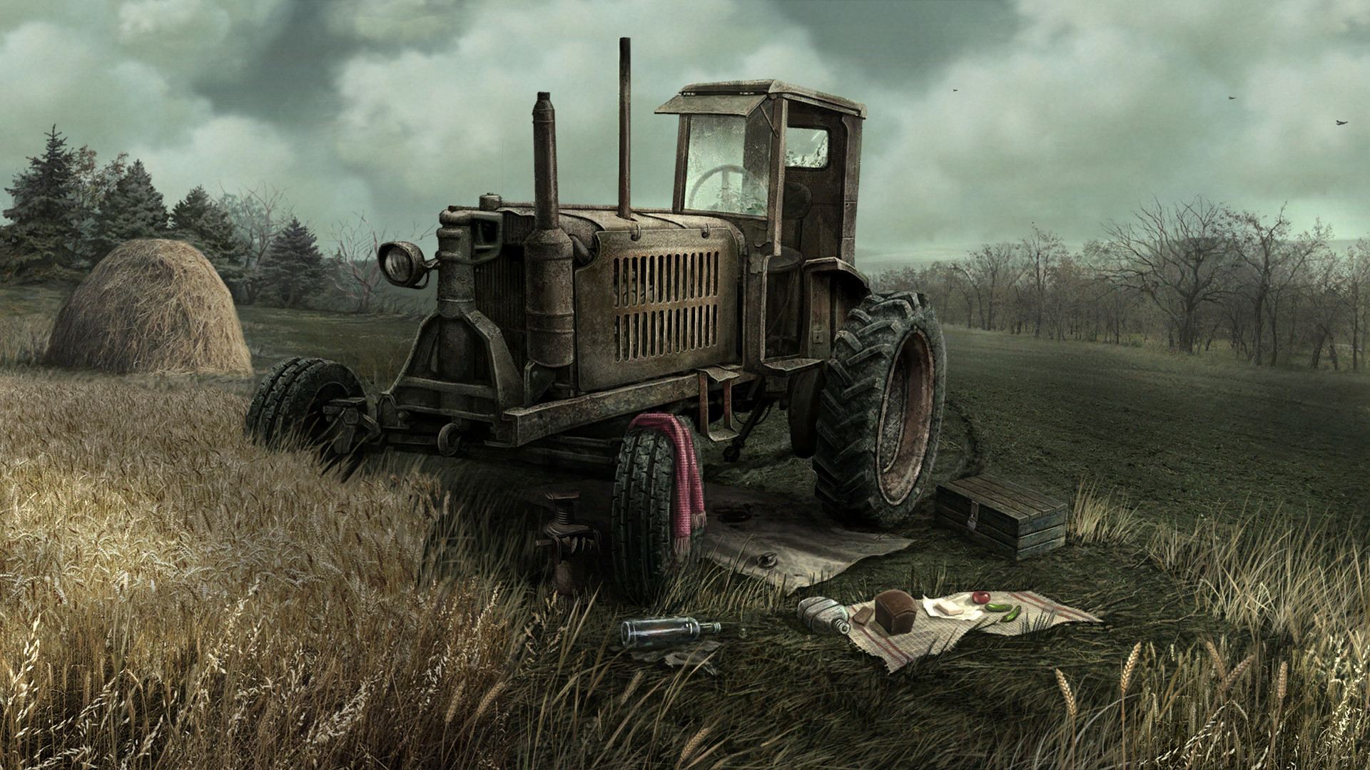 The Wild Case