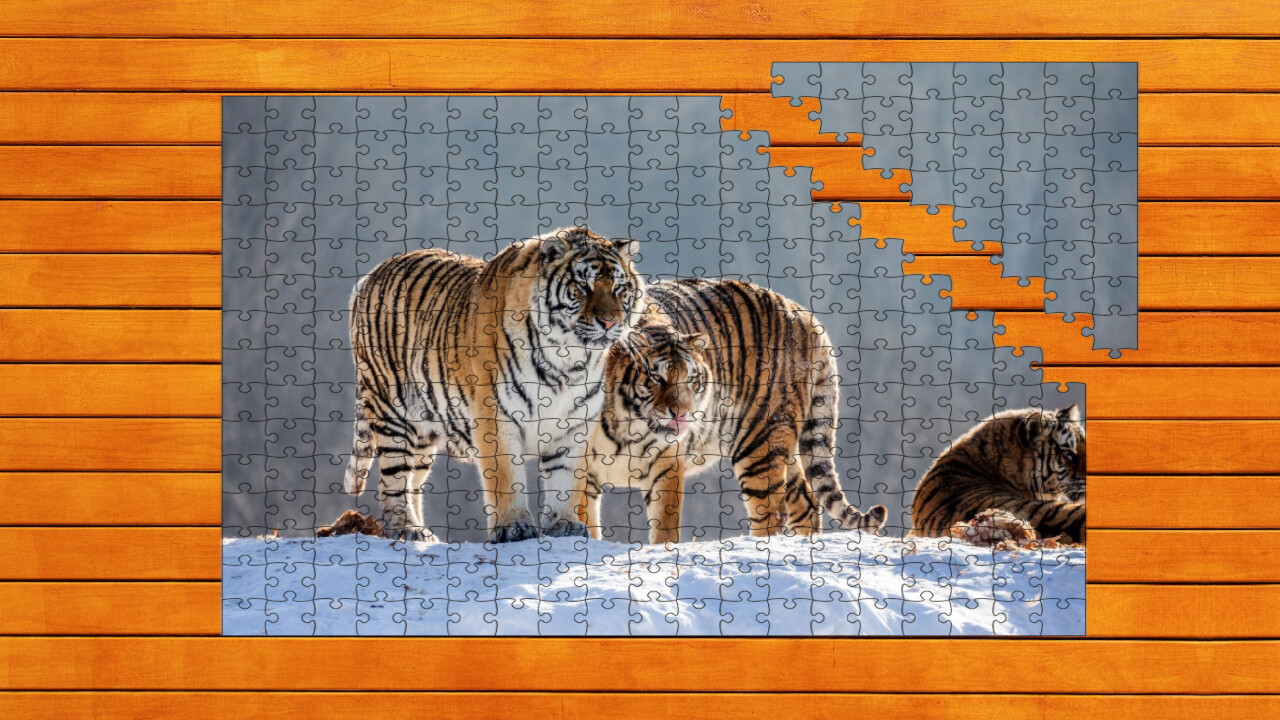 Big Cat Jigsaw Quest - Expansion Pack 2