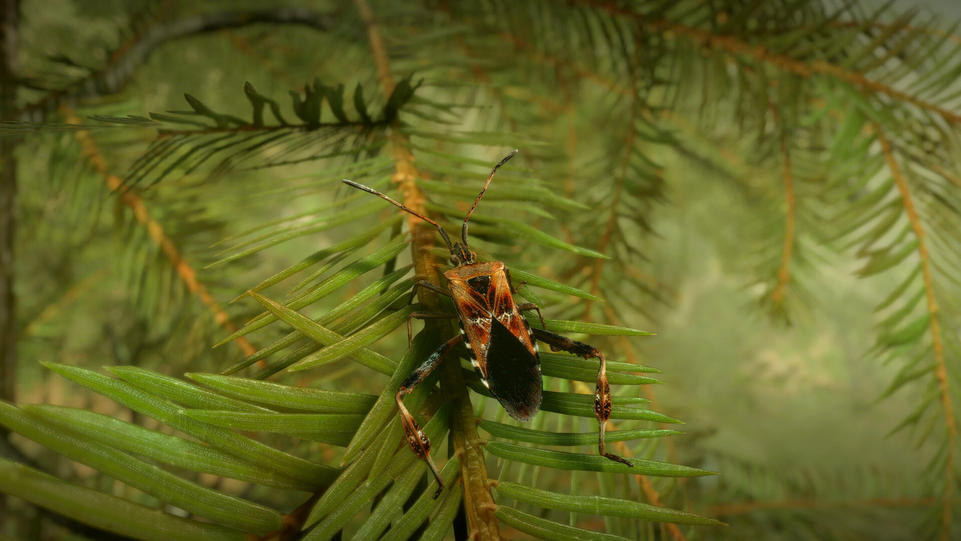 Insect Worlds Demo