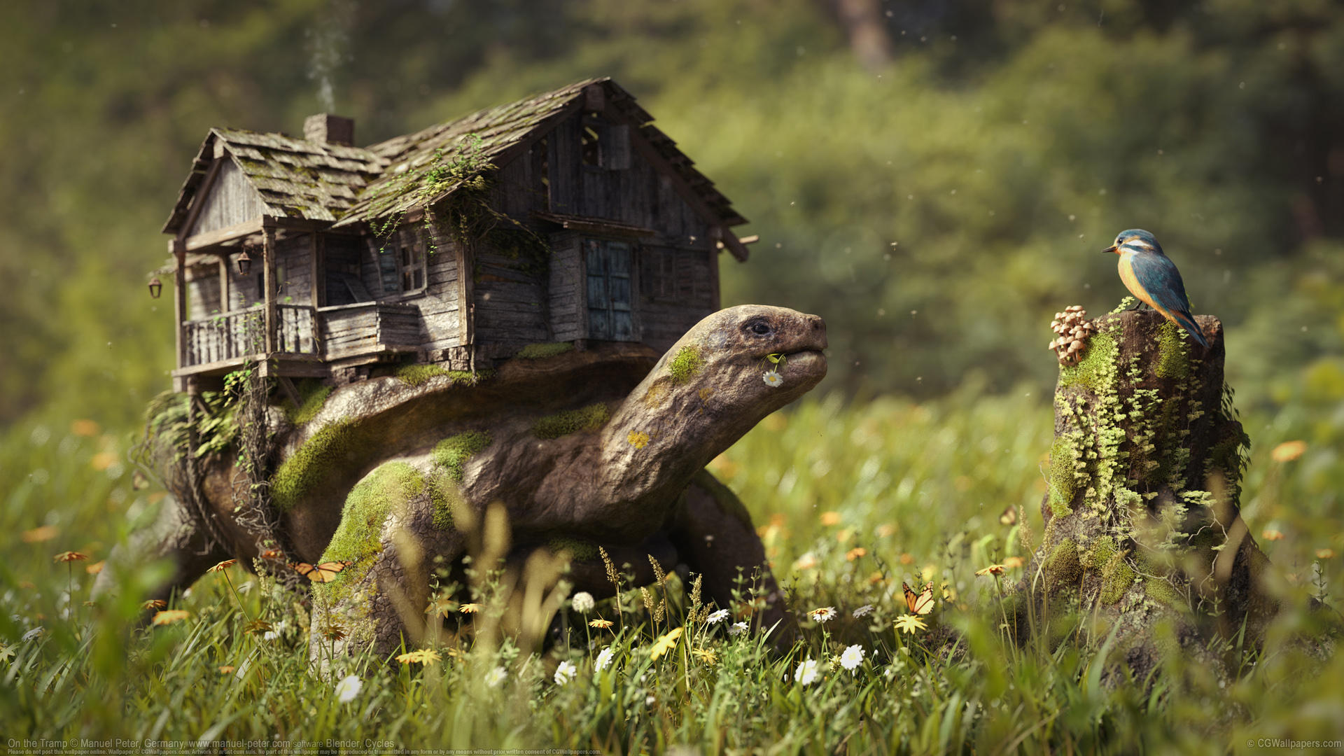 CGWallpapers